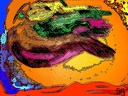 COULEURS d AFRIQUE